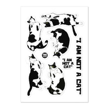 Load image into Gallery viewer, Loki - "I AM NOT A CAT" - stickers