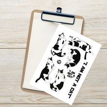 Load image into Gallery viewer, Loki - "I AM NOT A CAT" - stickers