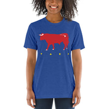 Load image into Gallery viewer, VAKA #004 : &quot;STRONG LIKE BULL / IKAIKA LIKE PIPI KĀNE&quot; t-shirt